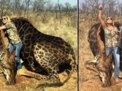 女子猎杀18岁长颈鹿  发文“狩猎梦想今天成真”遭网友大骂